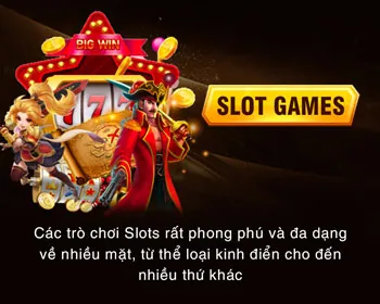 Cookie quảng cáo và các chương trình khuyến mãi 23win1 Casino